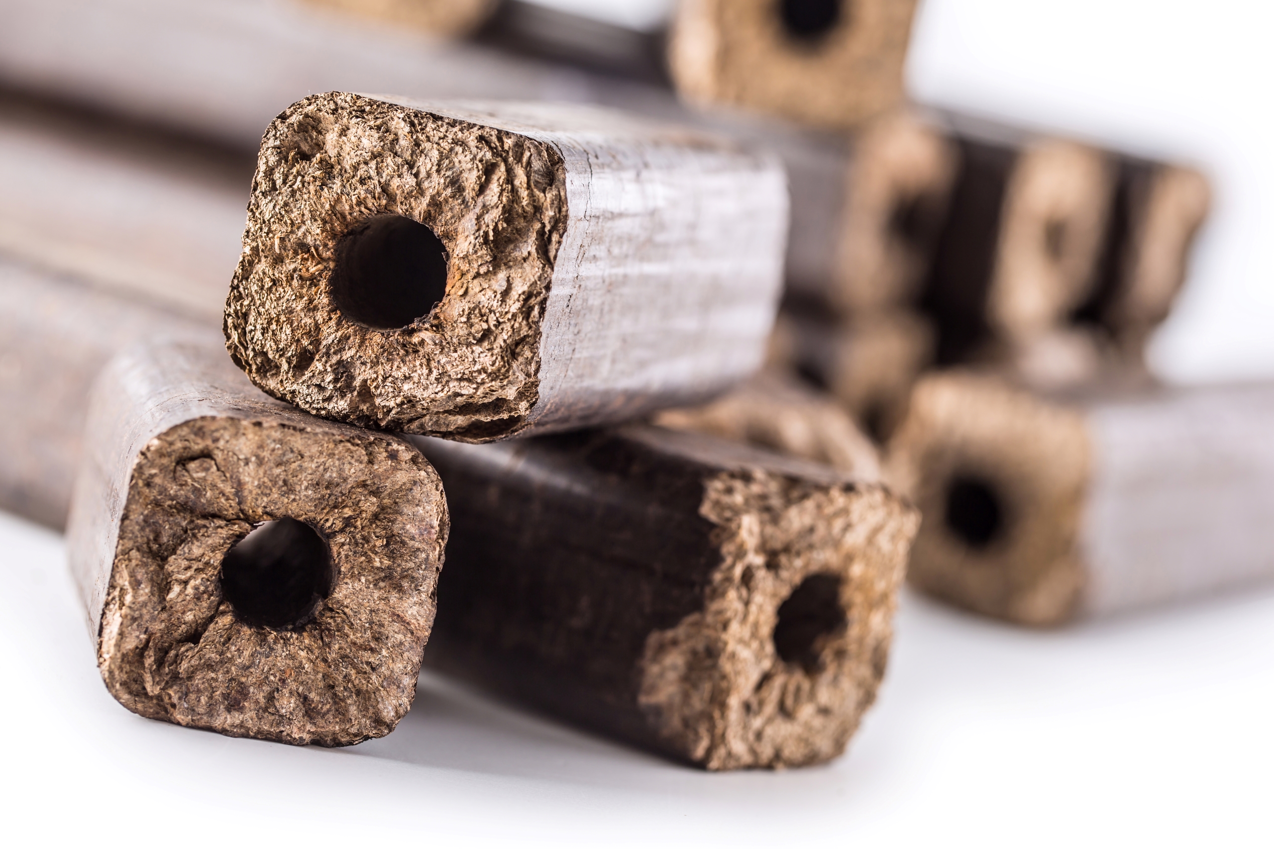 Kiln Dried Birch Logs - Woodbrothers %
